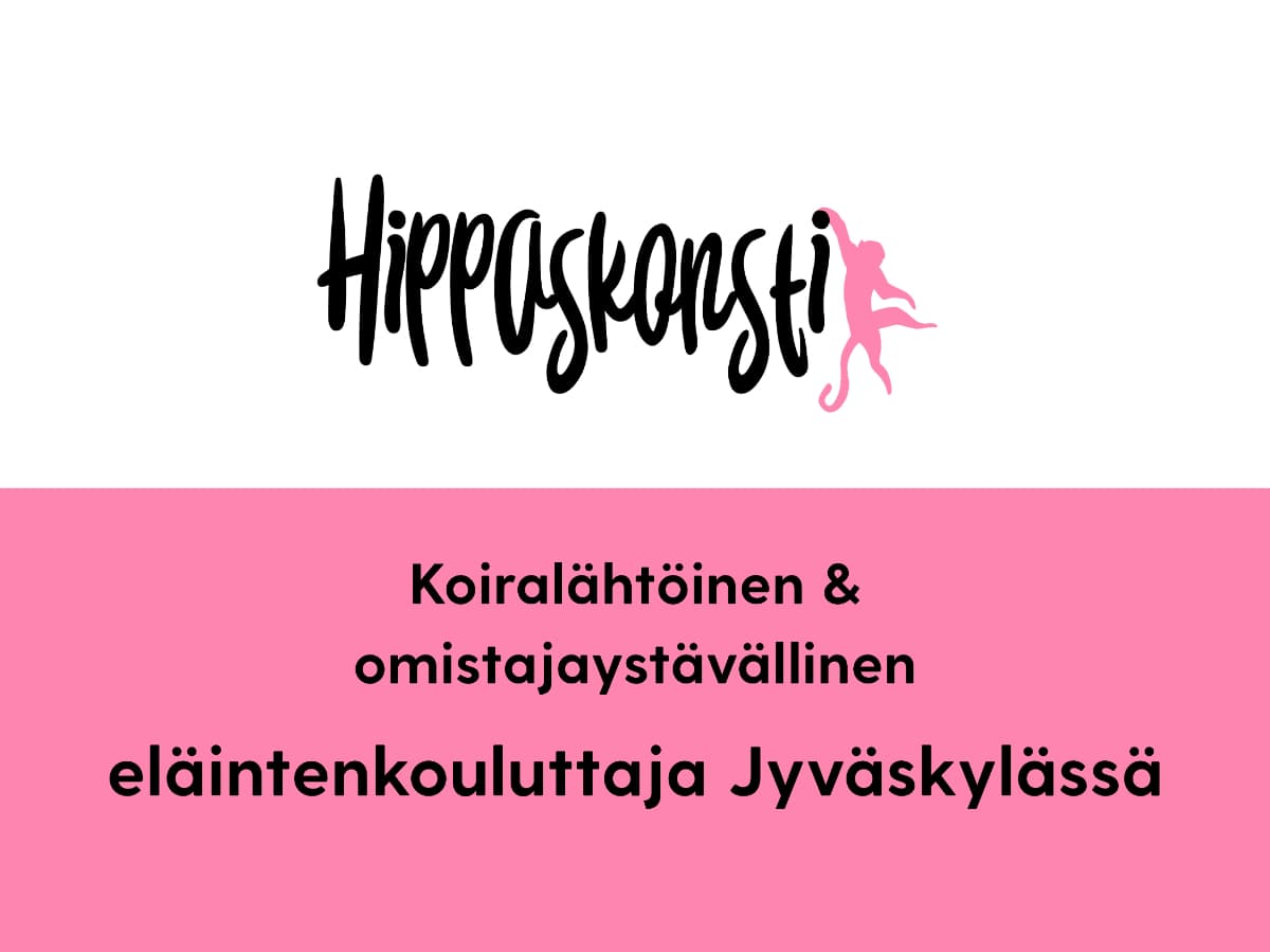Koirankouluttaja Jyväskylässä: koira-arki kivaksi